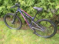 Mountainbike Donwhill Fully Rock  Maschine Blizzard TRL 30-29 Kreis Pinneberg - Hasloh Vorschau