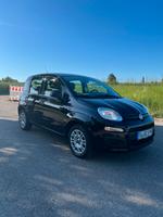 Fiat Panda 1.2 | EZ 12/2019 | 49.500 km | TÜV NEU | Top-Zustand Baden-Württemberg - Herrenberg Vorschau