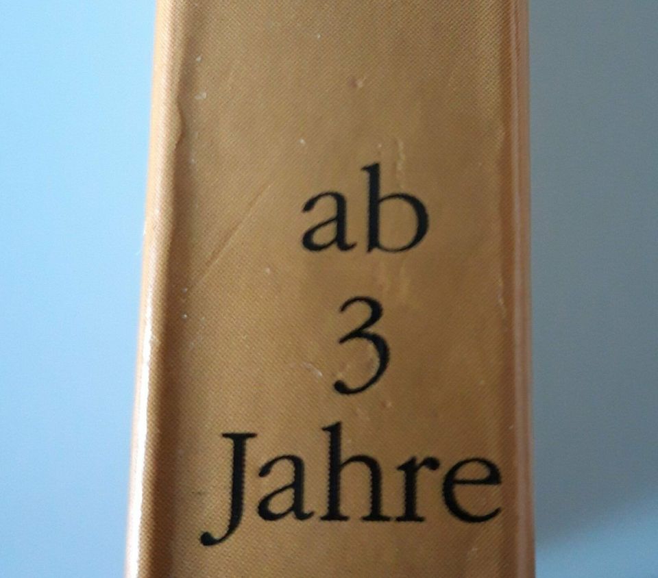 Bibelgeschichten für Kinder erzählt von Josef Carl Grund ab  3 in Reutlingen