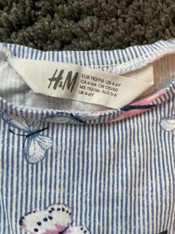 T-Shirt und Hose H&M Gr. 110/116 in Edingen-Neckarhausen