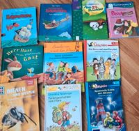 Kinderbücher Kokosnuss, Franz, Leserabe, Mein 24. Dezember Niedersachsen - Wolfsburg Vorschau