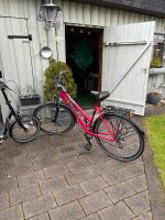 Bergsieger Fahrrad Damen Pink Top Zustand Nordrhein-Westfalen - Lichtenau Vorschau