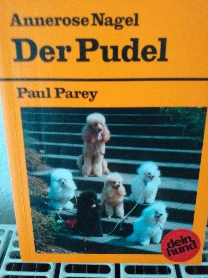 Buch des Pudel in Homburg