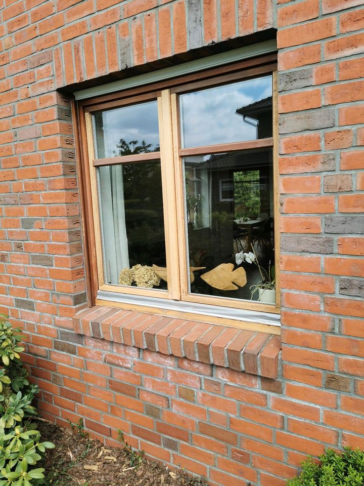 Fensterreinigung Gartenpflege Dachrinnenreinigung Renovierung Uvm in Vechta