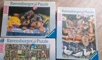 Ravensburger Puzzle Hunde, Katzen 1000 Teile Hessen - Lauterbach (Hessen) Vorschau