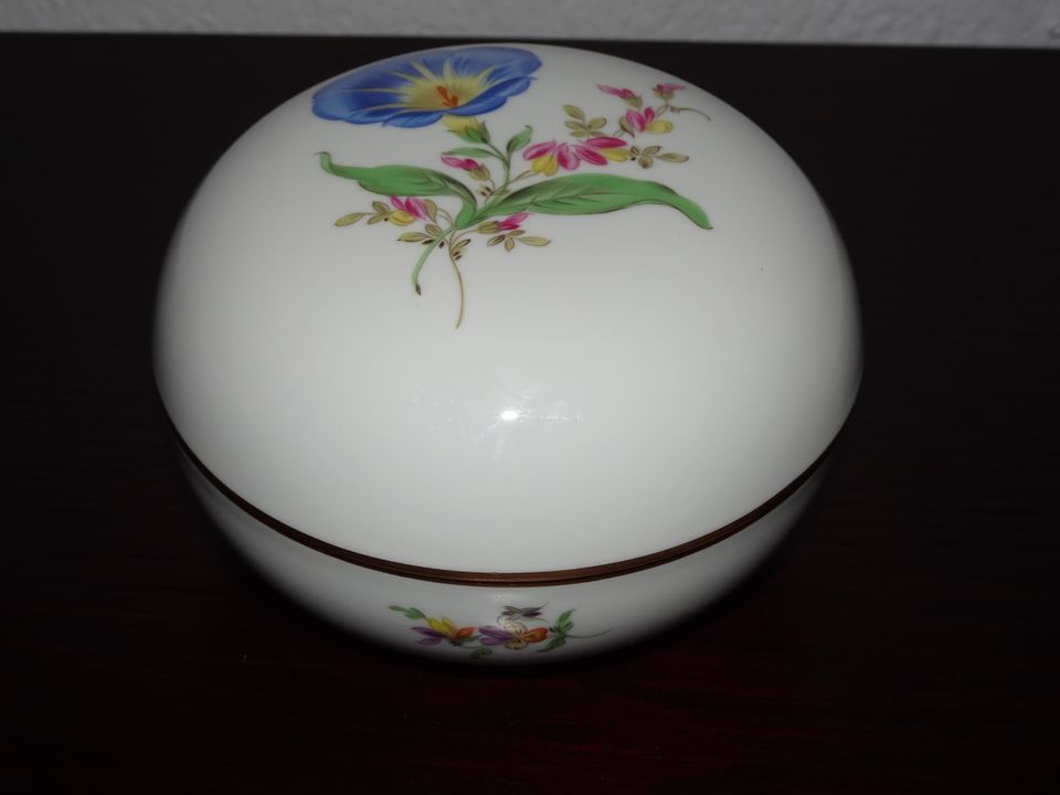 Meissen bunte Blume sehr große Dose -/ Deckeldose 12,5 cm x 8 cm in Hamburg