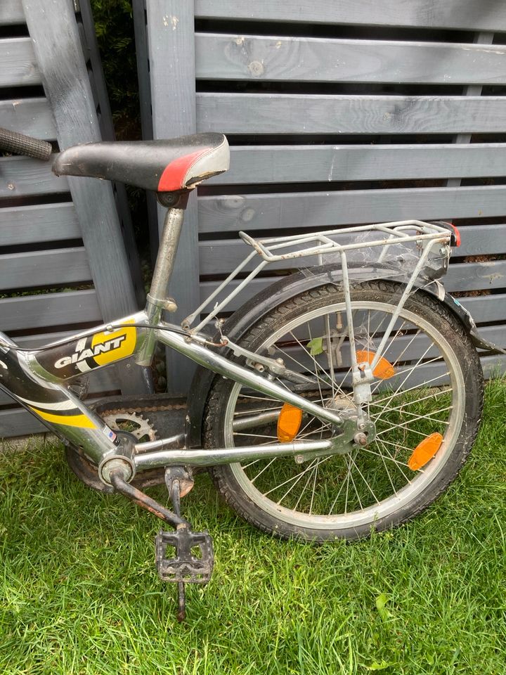 Achtung ‼️ Kinderfahrrad Gebraucht ab 4  Jahre in Arnsberg