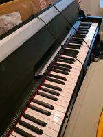 E Klavier elektronisch Thomann DP 33 Bayern - Bergrheinfeld Vorschau