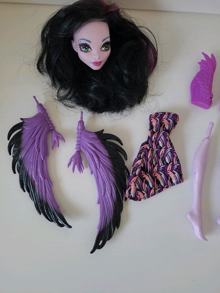 Monster High Create a monster Harpie (Harpy) Puppe Barbie in Kiel