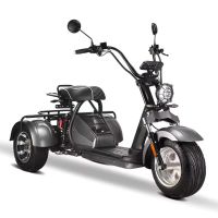 Coco Bike E-Scooter E-Trike HM-3 2000W 60V 20Ah Li-Ion 45 km/h Rheinland-Pfalz - Idar-Oberstein Vorschau