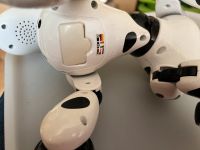 Roboter Dalmatiner ohne Ladekabel Nordrhein-Westfalen - Zülpich Vorschau