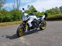 Yamaha FZ-8 Nordrhein-Westfalen - Lemgo Vorschau