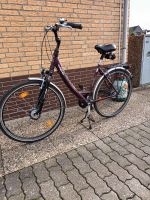 Fahrrad, 28", Damen City Rad, Pegasus,  7-Gang Schleswig-Holstein - Aukrug Vorschau