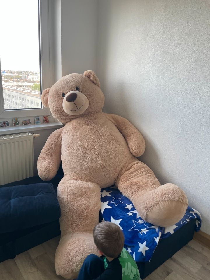 Große Teddy in Erfurt