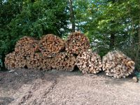 Fichten Brennholz Nordrhein-Westfalen - Wilnsdorf Vorschau