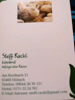Rassegeflügel, Sonderrassen, Brüten Bayern - Miltach Vorschau
