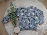 Pullover Sweatshirt grau dick warm gefüttert Mädchen Gr. 110/116 Niedersachsen - Rühen Vorschau
