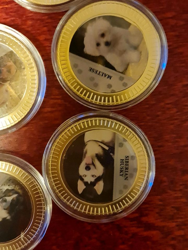 8 Münzen verschiedener Hunderassen in Leipzig
