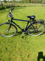 Pegasus Herrenfahrrad 28 Zoll Nordrhein-Westfalen - Stolberg (Rhld) Vorschau