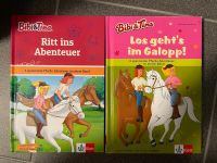 2 Bibi und Tina Bücher Hessen - Langen (Hessen) Vorschau