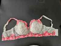 Primadonna BH 85G Hessen - Karben Vorschau