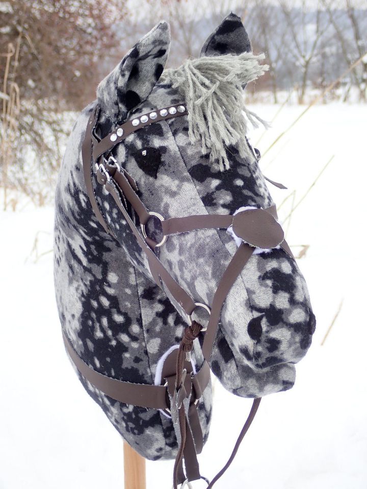 Hobby Horse Gruppe/Training in Dresden in Dresden