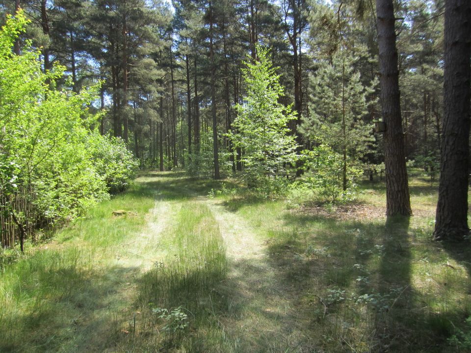 Freizeitgrundstück in herrlicher Waldlage in Baruth / Mark