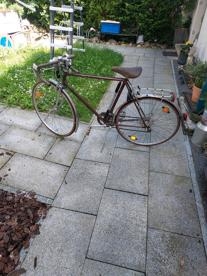 Winora rennrad 70 er Jahre vintage  10 Gang in Sindelfingen