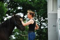 Verladetraining - Verhaltenstraining - Bodenarbeit - Horsemanship Wandsbek - Hamburg Farmsen-Berne Vorschau