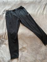 Gymshark Herren Hose Thüringen - Nordhausen Vorschau