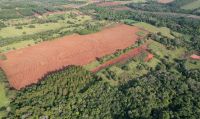 22 Hektar Grundstück Hohenau Obligado Paraguay Frankfurt am Main - Sachsenhausen Vorschau