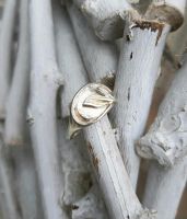 Alter Yvette Ries Ring Silberring 835 Silber Thüringen - Rudolstadt Vorschau