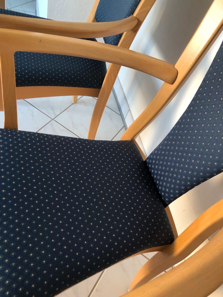 Stühle 3 Stück, Buche, hochwertige Gastromöbel, NP ca 600 € in Neuenbürg