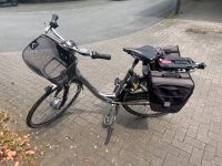 E-Bike Gazelle Damenrad Münster (Westfalen) - Wienburg Vorschau