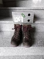 LOWA Renegade GTX  MID Ws Wanderschuh Damen Gr. 40 Bayern - Sankt Englmar Vorschau