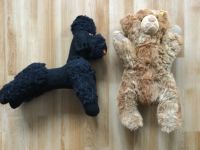 Großer Steiff Teddy und ein Pudel Stofftier Kiel - Steenbek-Projensdorf Vorschau