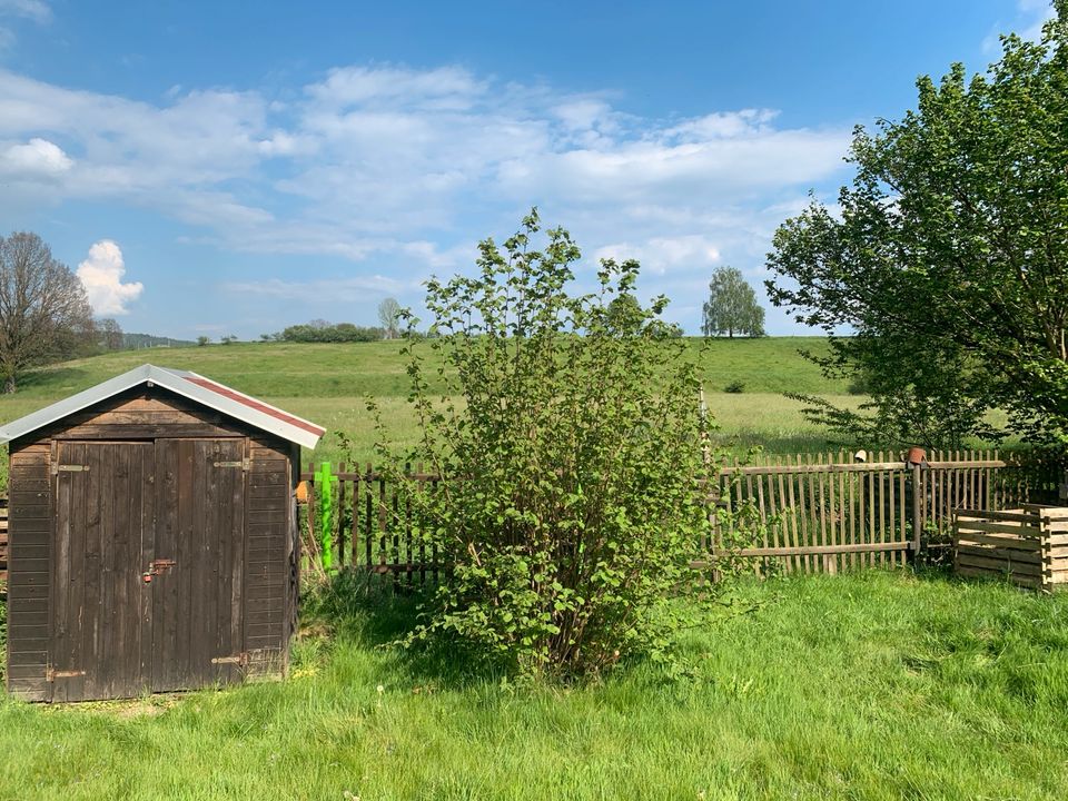 Garten+Geräte komp. abzugeben. in Neustadt