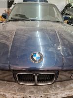 Bmw e34 530i m30b30 Projektaufgabe Niedersachsen - Munster Vorschau