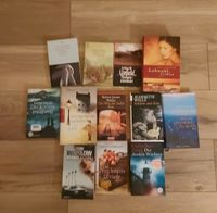 Bücher, Romane,  Thriller,  Krimi,  Liebesgeschichten Rheinland-Pfalz - Kasbach-Ohlenberg Vorschau