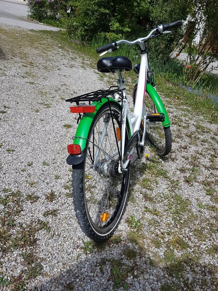 Pegasus Avanti Mädchenfahrrad 26 Zoll Kinderfahrrad in Bad Wörishofen