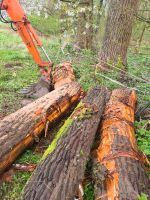 Pappelholz stammholz  feuerholz Brennholz Nordrhein-Westfalen - Burscheid Vorschau