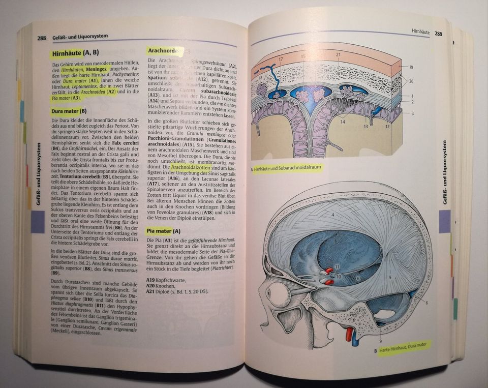 Taschenatlas Anatomie in 3 Bänden dtv in Frankfurt am Main