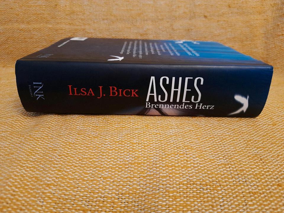 Ashes - Brennendes Herz, Lisa J. Bick, Jugendbuch, Harcover in Gifhorn