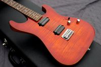 Suhr Custom Standard + G&G Case Brandenburg - Schwedt (Oder) Vorschau