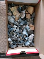Steine aus dem Meer Hessen - Bebra Vorschau
