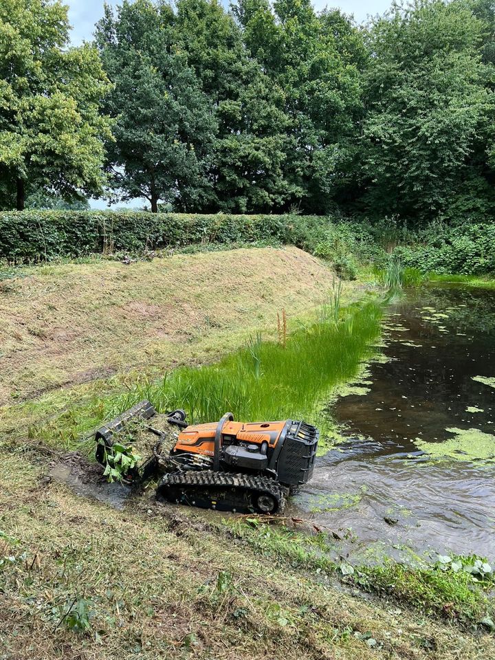 Mähraupe Mulchen Forstfräse Stubbenfräse Gestrüpp mulchen in Berne