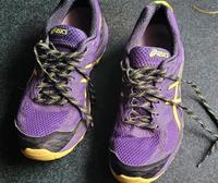 Asics Laufschuhe, Joggingschuhe, Fuji Trabuco Goretex Nordrhein-Westfalen - Paderborn Vorschau