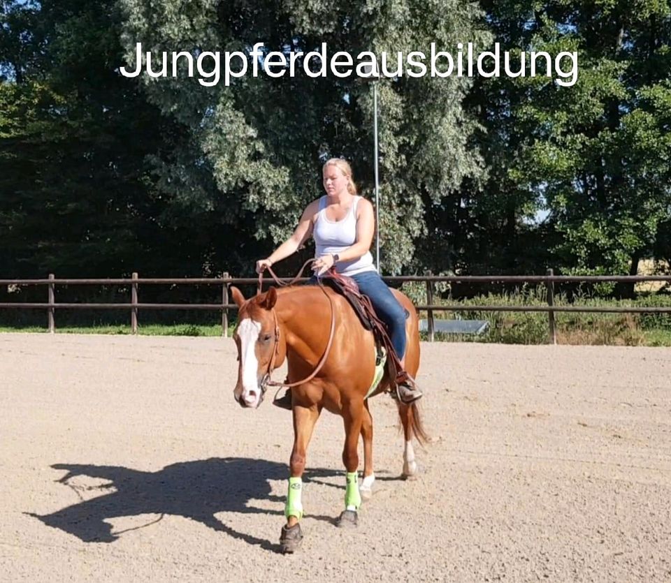 Jung- Pferdeausbildung - Pferdetraining - Problempferde in Sonsbeck