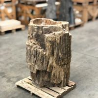 Standwaschbecken Waschbecken versteinertes Holz alles Unikate Niedersachsen - Bad Bentheim Vorschau