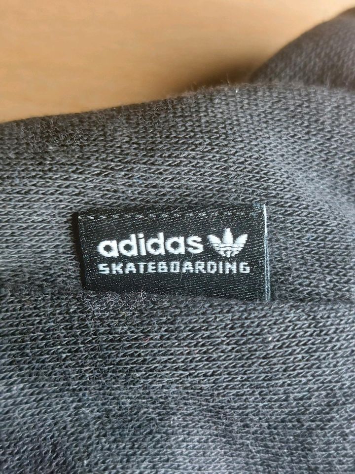 Adidas Skateboarding Hoodie in Dresden